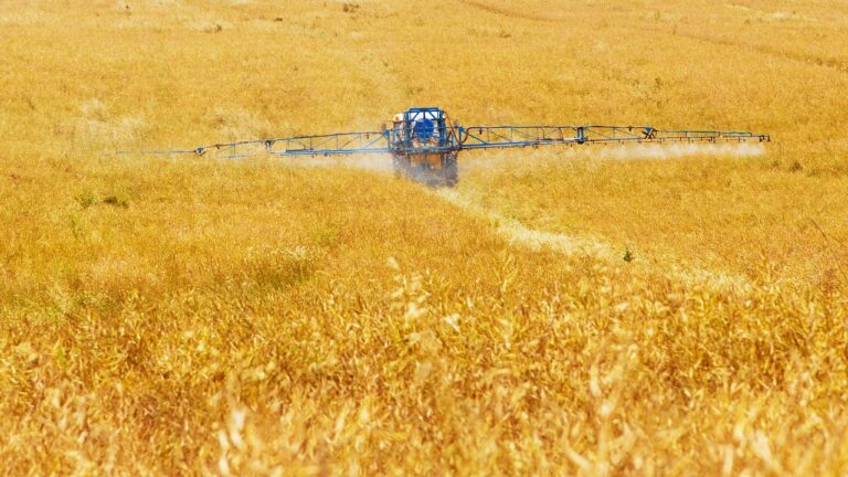 Quelle utilisation des épices pour remplacer les produits chimiques ?
