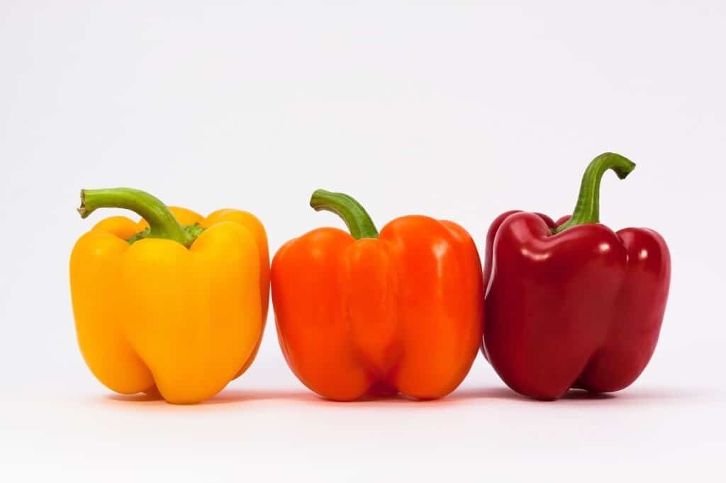 Quelles différences entre le paprika et la poudre de poivrons rouge ? -  Epices et Délices