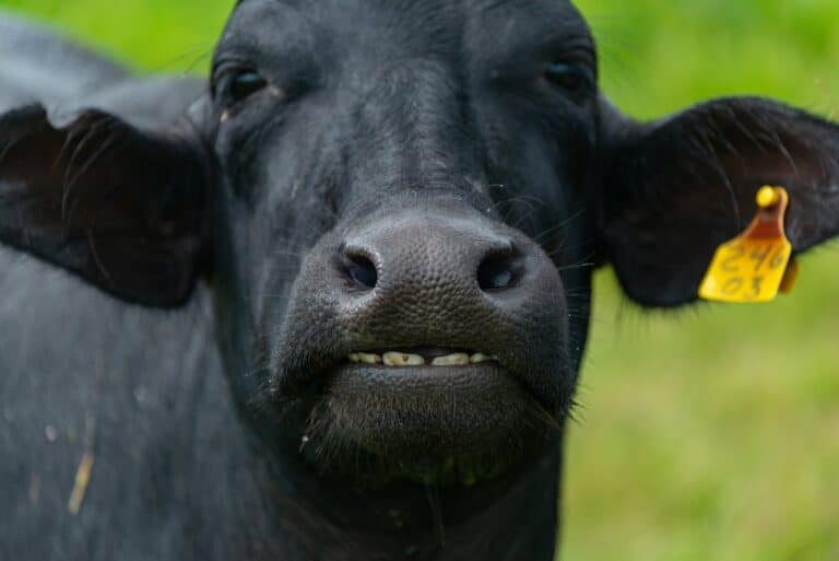 Epicesetdelices au Salon de l&rsquo;Agriculture 2023 !
