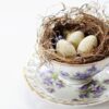 vintage, tea cup, bird's nest-2107571.jpg