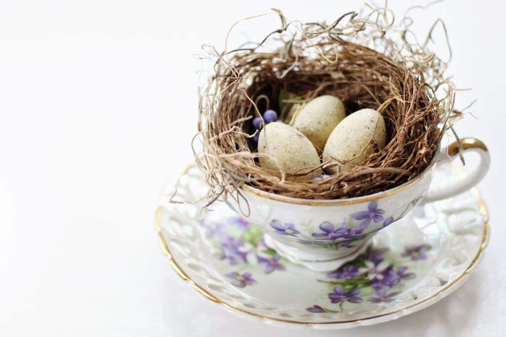 vintage, tea cup, bird's nest-2107571.jpg
